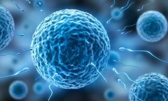 详细解读沁阳市做长方案试管婴儿费用，长方案和短方案成功率有差别吗？