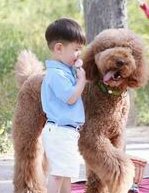 详细解读石家庄市做长方案试管婴儿费用，长方案和短方案成功率有差别吗？