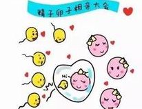 试管短方案促排全解析：药物清单与详细流程一网打尽！