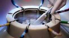 石家庄试管成功率高的医院情况一览 附2026石家庄三代试管费用明细