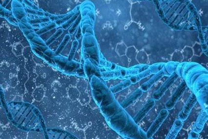 试管婴儿进周必读：详尽注意事项与个性化短方案促排流程指南