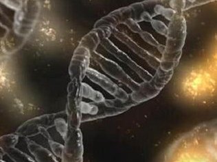 步骤：去泰国nic做第三代试管婴儿的流程是咋样的？（包含准备）